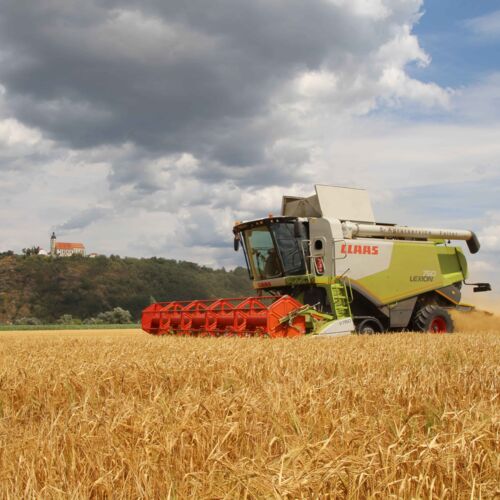 assets/images/1/Bild%203%20Ernte%20der%20regionalen%20Braugerste%20%28anstatt%20Bienen%29-min-a639ae76.jpg
