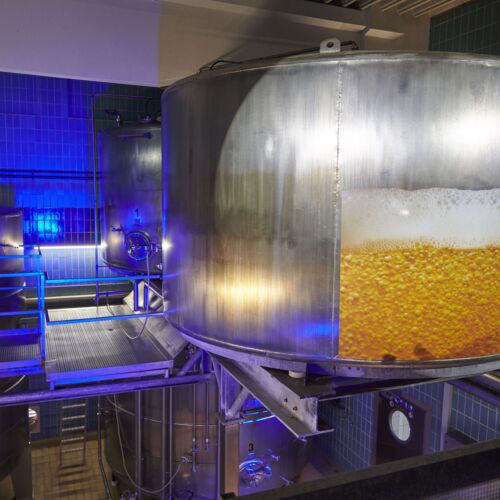 assets/images/2/Gaerkeller-2232f9fc.jpg