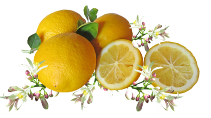 assets/images/3/lemons-3334763_1280-b46ac4b2.png