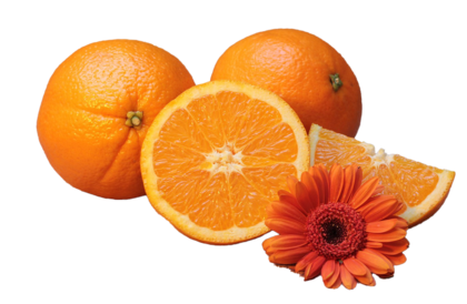assets/images/d/oranges-1995056_1280-21a976b9.png