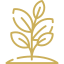 files/Dateien/Icons/pflanzen.png
